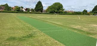 Image result for Thriplow Cricket Club