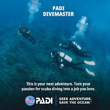 Image result for Robin Hood Dive School