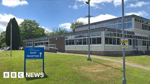 Image result for Basingstoke Sc