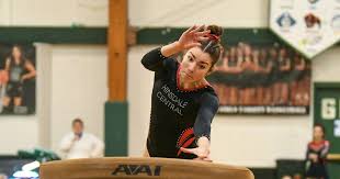 Image result for York University Gymnastics Club