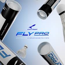 Image result for Flukey Feathers Badminton Club