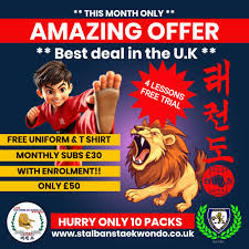 Image result for London Colney Tae Kwon Do  (I.T.F. / LTSI / A.F.T.)