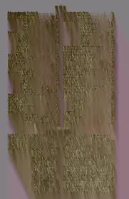 Attēlu rezultāti vaicājumam “Jungermannia sphaerocarpa sporophyte”