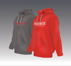 Image result for Bridgewater Netball Club