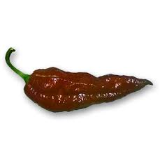 Afbeeldingsresultaat voor naga jolokia hot pepper