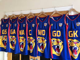 Image result for Wakefield Phoenix Netball Club