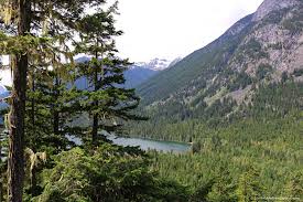 Image result for Leek Park B C