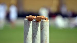 Image result for Loose Cricket Club