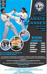 Image result for Cobra Karate Club