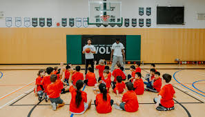 Image result for West Surrey Basketball Club