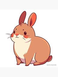 Image result for viscacha