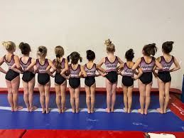 Image result for Pegasus Trampoline Club