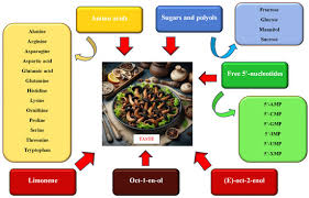 Attēlu rezultāti vaicājumam “Cratarellus cornucopioides”