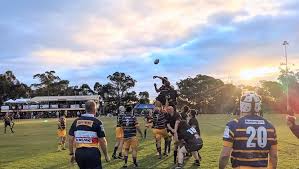 Image result for St Ives Rugby Club