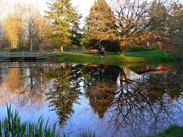 Image result for Leek Park B C