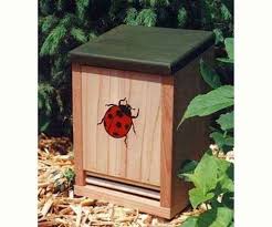 Image result for ladybug house