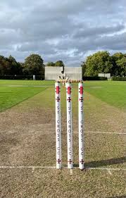 Image result for St Cross Symondians Cricket Club