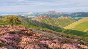 Image result for Long Mynd