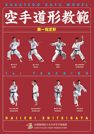 Image result for Katakuri Karate