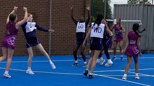 Image result for Sydenham Ladies Netball Club