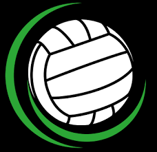Image result for Icons Netball Club