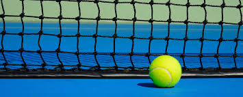 Image result for Mole Valley Mini Tennis Club