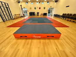 Image result for Welwyn Garden City Judo Club