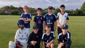 Image result for Yoxford Cricket Club