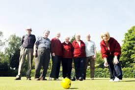 Image result for Johnstone Bowling Club