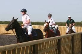 Image result for White Rose Polo Club