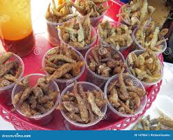 Attēlu rezultāti vaicājumam “Charales”