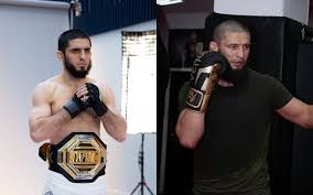 Image result for Wolverine MMA