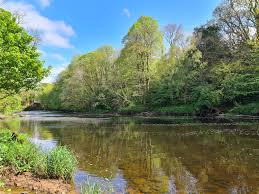 Image result for Annbank Angling Club