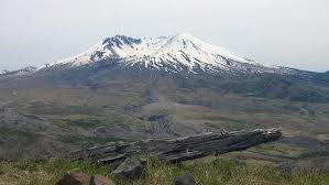 Image result for St Helens Miners