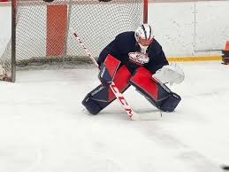 Image result for Rayleigh boys under 7's Leopards- need a Goalie!