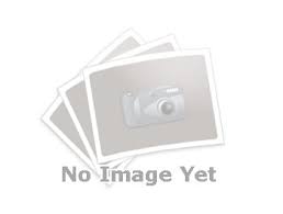 Attēlu rezultāti vaicājumam “Protoschinia scutosa”