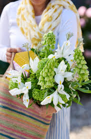 Attēlu rezultāti vaicājumam “Alchemilla subcrenata  flower”