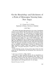 Attēlu rezultāti vaicājumam “Gloeocapsa rupestris”