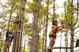 Image result for The Go Ape Experience (Delamere Forest)