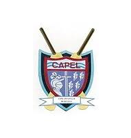 Image result for Capel Cricket Club