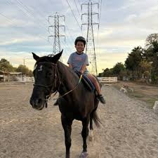 Image result for Kings Ranch Riding School/Club