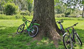 Image result for Epping Forest Mountain Bike Club