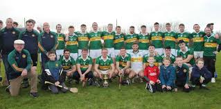Image result for Causeway Hurling Club