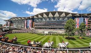 Image result for Ascot Badminton Club