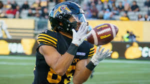 Image result for Hamilton Panthers Association Football Club