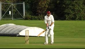Image result for Sheffield Works Department Cricket Club