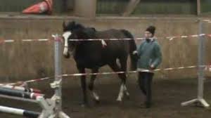 Image result for heiss tehron