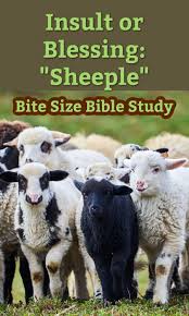 Image result for sheeple