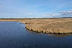 Image result for Suffolk Coastal Floaters