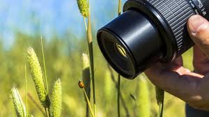 Attēlu rezultāti vaicājumam “macro”